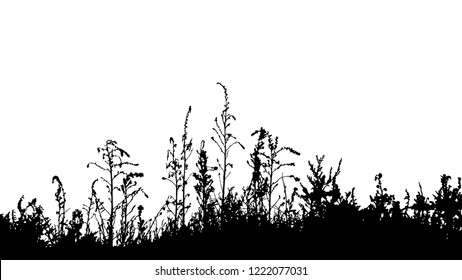 Grass silhouette border isolated on white background vector