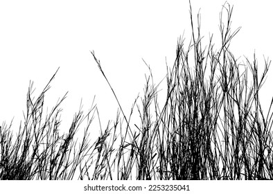 Grass silhouette, Flower garden meadow nature. Vector illustration.