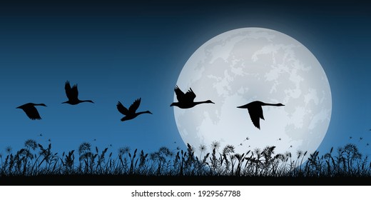 grass silhouette with full moon and duck flying to home, landscape background, vector illustration