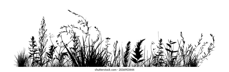 Grass silhouette. Healing herb background . Monochrome grass with flowers. Vector illustration