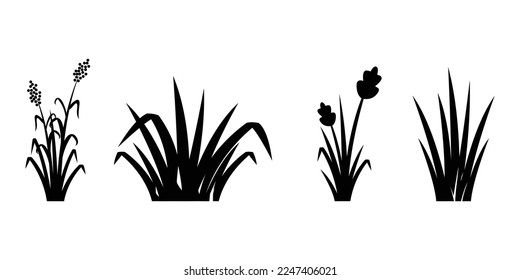 grass silhouette illustration design and flower set