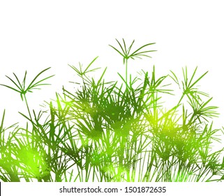 Grass silhouette. Meadow. Natural herbs. Vector illustration.