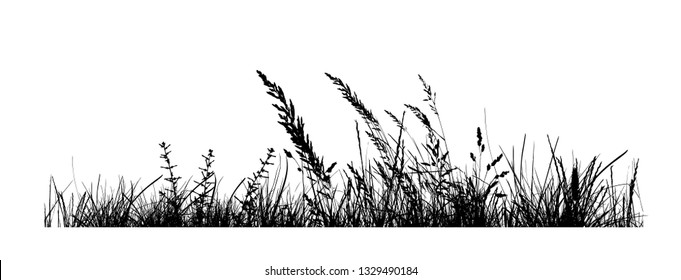 Grass silhouette monochrome