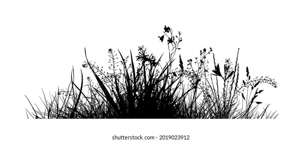 Grass silhouette. Monochrome grass with flowers. Vector illustration