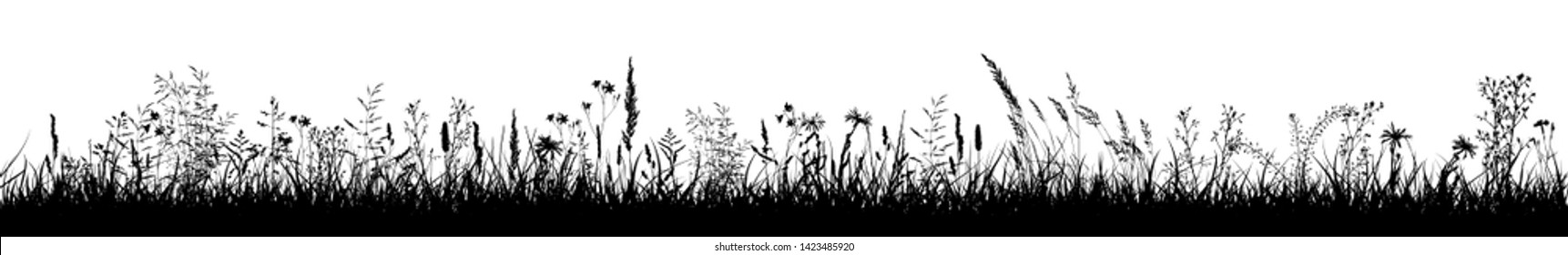 Grass silhouette monochrome. Vector illustration