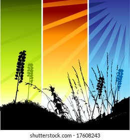 Grass silhouette on meadow