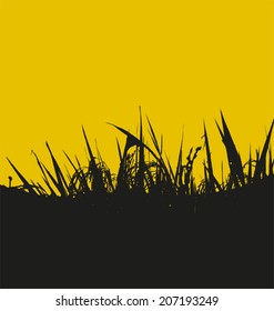 grass silhouette on a white background