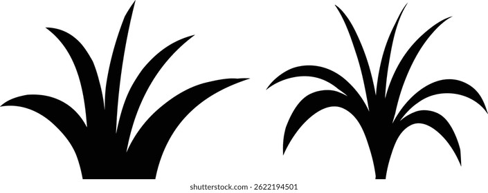 grass silhouette on white background 