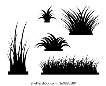 Grass Silhouette Presets - Realistic Vector Element Template