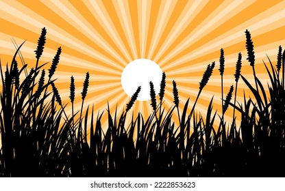 Silueta de hierba y fondo vectorial de ráfagas de sol