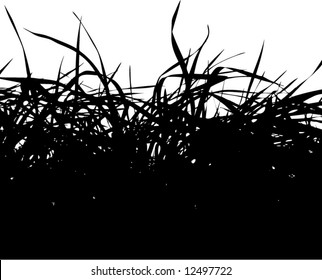 grass silhouette vector