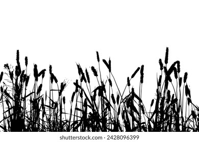 Grass silhouette vector. Grass silhouette isolated on white. Millet plants field vector.