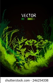 grass silhouette with watercolor background. Vector