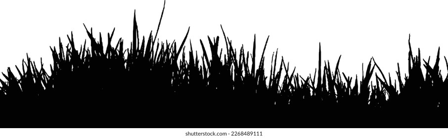 grass silhouette white background PNG vector