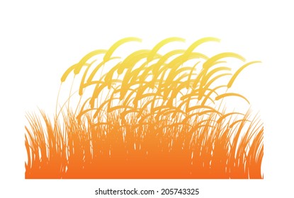 grass silhouettes 