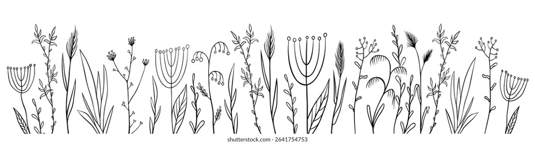 Grass silhouettes collection. Floral black and white background. Vector illustration.
