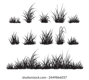 Grass silhouettes collection. Vector elements isolated on white. 