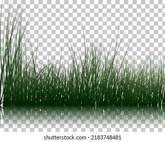 Siluetas De Grasa Con Fondo De Color Con Reflexión Transparente En El Agua. Elegante Grasa Cuta Y Suave En El Diseño Del Agua. Ilustración vectorial con transparencia.