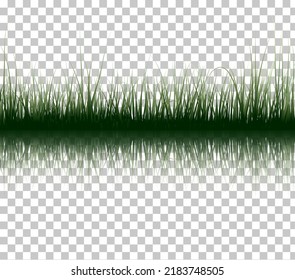 Grass Silhouettes Color Background With Transparent Reflection In Water. Elegant Cute And Smooth Grass In Water Design. Vector Illustration With Transparency.