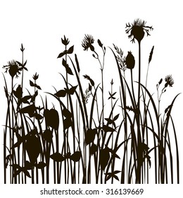 grass silhouettes, herbs and flowers, floral background, hand drawn vector illustration