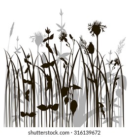 grass silhouettes, herbs and flowers, floral background, hand drawn vector illustration