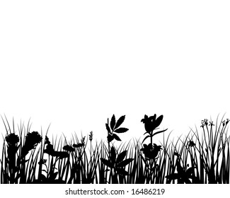 Grass silhouettes ornate on the white background