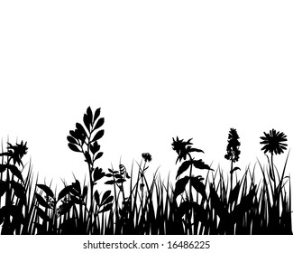 Grass silhouettes ornate on the white background