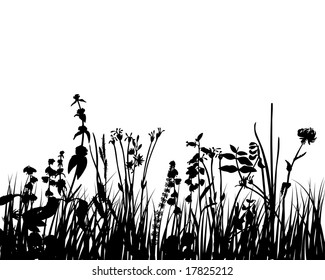 Grass silhouettes ornate on the white background