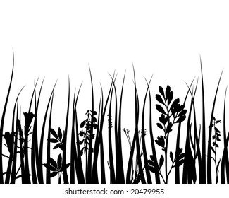 Grass Silhouettes Ornate On White Background Stock Vector (Royalty Free ...