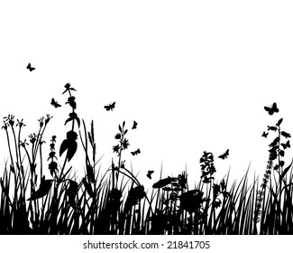 Grass silhouettes ornate on the white background