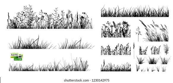 grass silhouettes set. Vector