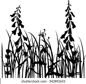 grass silhouettes,  wild flowers, herbs and leaves,  field plants, monochrome vector floral background