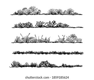 Grass Sketch Architect Drawing ,Sketch Landscape ,isolate Vector