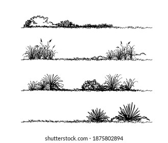 Grass Sketch Landscape And Architecture Drawing