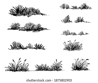 Grass sketch Landscape and Architecture Drawing