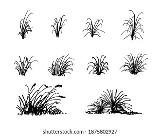 Grass Sketch Landscape Architecture Drawing Stock Vector (Royalty Free ...