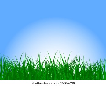 Grass and Sky
