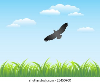 Grass and Sky Background