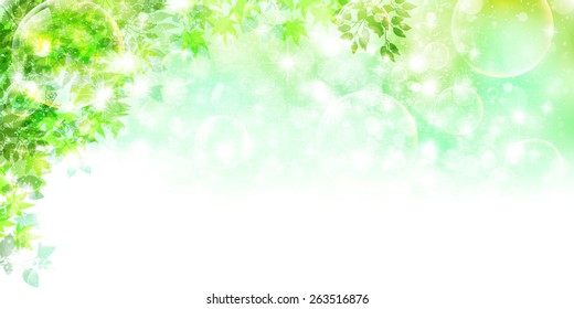 Grass sky background
