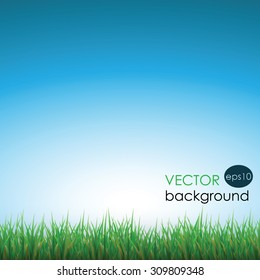 grass and sky background, summer background, green grass vector illustration