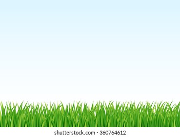 grass and sky background. vector