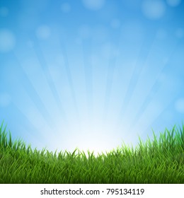 Grass And Sky With Gradient Mesh, Vector Illustration
