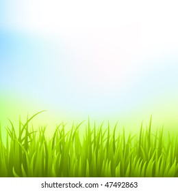 grass and sky vector
