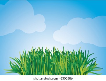 Grass and sky. Vector illustration.