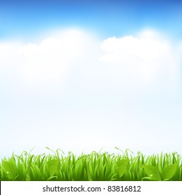 Grass And Sky, Vector Illustration