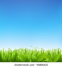 Grass And Sky, Vector Illustration