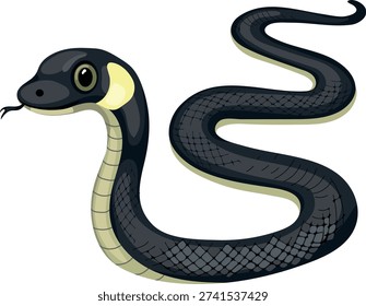 Grass snake (Natrix natrix) isolated on white background	