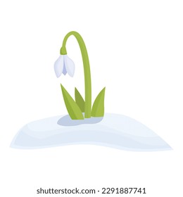 Grass snowdrop icon cartoon vector. Spring flower. Fresh summer