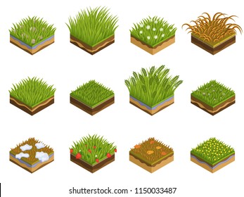 Grass and soil layers isometric vector set. Different fresh green grass with fallen leaves, daisies. Different year seasons, spring, summer, autumn. Realistic nature elements for design illustrations.