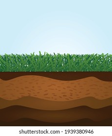 Grass soil layers. vector illustration